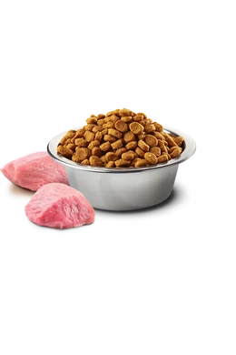 NandD DOG GRAIN FREE BÁRÁNY,ÁFONYA ADULT MINI 7KG