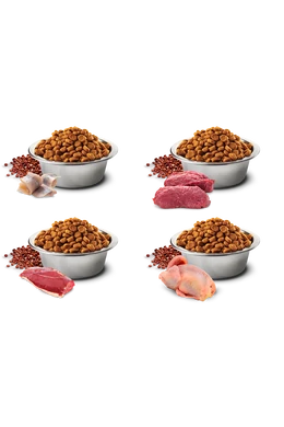 N&D gabonamentes száraztáp bőr és bunderegeneráló kóstolócsomag 3,2kg