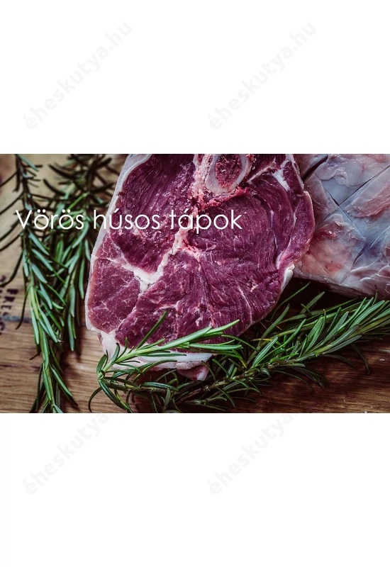 Kudo felnőtt Medium & Maxi hidegen sajtolt száraztáp vörös húsokkal 12kg