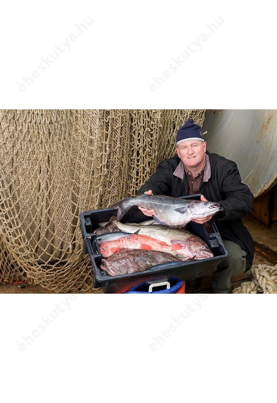 Orijen Tundra - Fagyasztva szárított eledel 170g